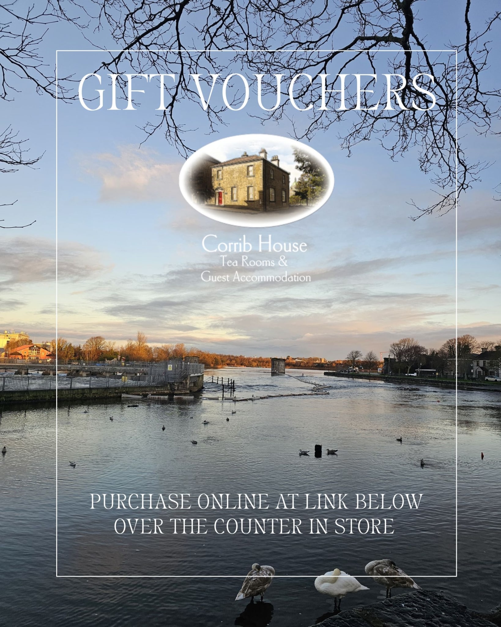 Christmas Gift Vouchers (1)